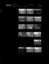 Yankee Hall Cemetery (16 Negatives) (May 19, 1965) [Sleeve 49, Folder b, Box 36]