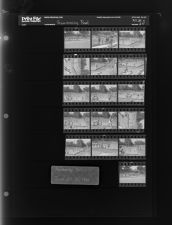 Swimming Pool (16 Negatives), June 28-30, 1965 [Sleeve 64, Folder c, Box 36]