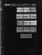 Sleeve 34, Folder d, Box 36