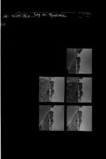 Log on Roadside (5 Negatives), April 16-17, 1963 [Sleeve 42, Folder d, Box 29]