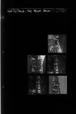 Fat Stock show (5 Negatives) (April 22, 1963) [Sleeve 57, Folder d, Box 29]