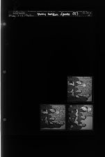 Harry Golden Speaks (3 Negatives), May 11-14, 1963 [Sleeve 33, Folder e, Box 29]