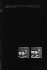 Jaycee-ette of the Year Award (2 Negatives) (May 16, 1963) [Sleeve 49, Folder e, Box 29]