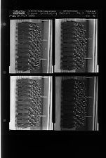 Eppes Graduating Seniors (4 Negatives) (May 30, 1963) [Sleeve 80, Folder e, Box 29]