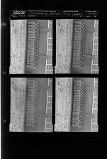 Graduating Seniors of Pitt County (4 Negatives) (May 1963) [Sleeve 88, Folder e, Box 29]