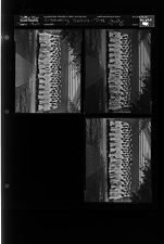 Graduating Seniors of Pitt County (3 Negatives) (May 1963) [Sleeve 89, Folder e, Box 29]