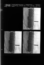 Graduating Seniors of Pitt County (3 Negatives) (May 1963) [Sleeve 92, Folder e, Box 29]