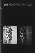 Graduating Seniors of Pitt County (2 Negatives) (May 1963) [Sleeve 94, Folder e, Box 29]