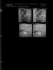 Farmville FCX(4 Negatives) (February 9, 1962) [Sleeve 22, Folder b, Box 27]