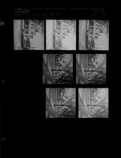 Light Snowfall (7 Negatives) (February 12, 1962) [Sleeve 29, Folder b, Box 27]