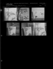 Flower Show (6 Negatives), March 13-15, 1962 [Sleeve 26, Folder c, Box 27]