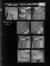 Woman holding artifacts; Broken Pipe Drain; Picture of Building (9 Negatives) (March 15, 1962) [Sleeve 28, Folder c, Box 27]