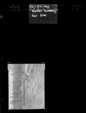 Bethel Swimming Pool Site (1 Negative), April 5-6, 1962 [Sleeve 8, Folder d, Box 27]