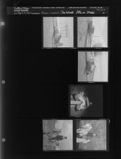Plane Crashed; Car Wreck; Horse Show (6 Negatives) (April 9, 1962) [Sleeve 15, Folder d, Box 27]