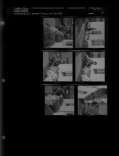 Flowers at City Hall (6 Negatives), April 14-16, 1962 [Sleeve 37, Folder d, Box 27]