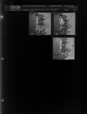 Land Given for Civic Center (3 Negatives) (April 21, 1962) [Sleeve 42, Folder d, Box 27]