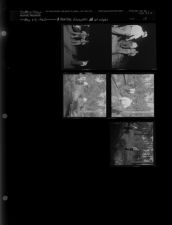 Hunting Escapees at Night (5 Negatives), May 8-9, 1962 [Sleeve 18, Folder e, Box 27]