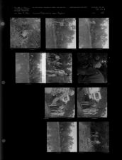 Drowning Near Ayden (10 Negatives) (June 8, 1962) [Sleeve 22, Folder f, Box 27]