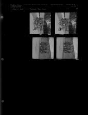 Swimming Team Sport (4 Negatives), June 14, 1962 [Sleeve 39, Folder f, Box 27]