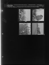 Inaugural Ball of Terry Sanford, B. Kennedy was there (4 Negatives) (January 6, 1961) [Sleeve 3, Folder a, Box 26]