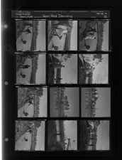 Farm Pond Drowning (12 Negatives) (January 10, 1961) [Sleeve 22, Folder a, Box 26]