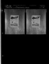 Re-photograph for feature (2 Negatives) (January 28, 1961) [Sleeve 69, Folder a, Box 26]