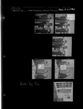 Award Presented by Library to Whichards-Pleasure Rt. # 13 Meet; Easter Egg Tree (6 Negatives), March 23-24, 1961 [Sleeve 53, Folder c, Box 26]