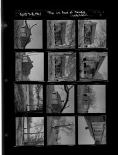 Tree in front of house (Unknown) (12 Negatives), April 7-8, 1961 [Sleeve 19, Folder d, Box 26]