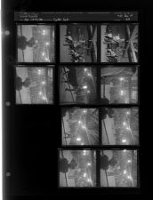 Cattle Sale (10 Negatives), April 11-12, 1961 [Sleeve 33, Folder d, Box 26]