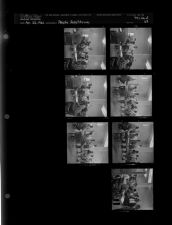 People Registering (7 Negatives) April 22, 1961, [Sleeve 68, Folder d, Box 26]