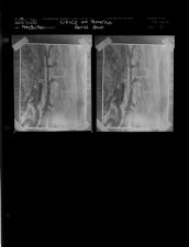 Voice of America Ariel Shot (2 Negatives) (May 3, 1961) [Sleeve 11, Folder e, Box 26]
