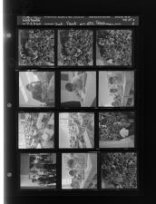 Sat. feature of ECC freshmen (12 Negatives), September 2-3, 1960 [Sleeve 4, Folder a, Box 25]