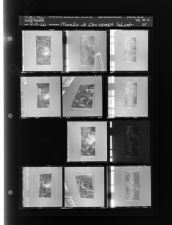 Morals at Elm Street School (11 Negatives) (September 9, 1960) [Sleeve 25, Folder a, Box 25]