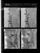 Boy scouts (4 Negatives) (October 24, 1960) [Sleeve 75, Folder b, Box 25]