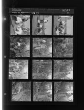 Logger Dies (12 Negatives) (October 26, 1960) [Sleeve 81, Folder b, Box 25]