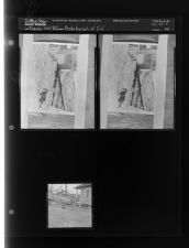 Re-photograph of Cat (3 Negatives), November 19-21, 1960 [Sleeve 44, Folder c, Box 25]