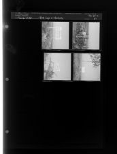 VOA Sign & Workers (4 Negatives) (November 22, 1960) [Sleeve 51, Folder c, Box 25]