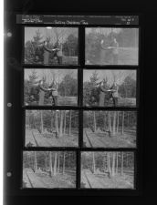 Selling Christmas Tree (8 Negatives) (December 7, 1960) [Sleeve 22, Folder d, Box 25]