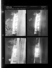 Home Decorations (4 Negatives), December 20-21, 1960 [Sleeve 66, Folder d, Box 25]
