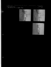 Ayden Sign (3 Negatives), December 20-21, 1960 [Sleeve 73, Folder d, Box 25]