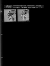 4-H Health Kings & Queens (2 Negatives), May 5, 1960 (May 5, 1960) [Sleeve 8, Folder a, Box 24]