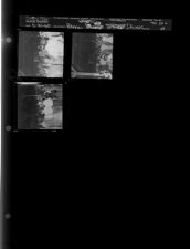 Bonner Dinner (3 Negatives (May 21, 1960) [Sleeve 69, Folder a, Box 24]