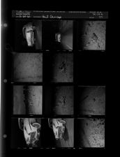 Hail damage (11 Negatives (May 24, 1960) [Sleeve 77, Folder a, Box 24]