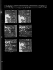 Baseball awards (6 Negatives) July 13-14, 1960 [Sleeve 41, Folder c, Box 24]