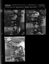 Advertising Budget Committee (3 Negatives (July 26, 1960) [Sleeve 82, Folder c, Box 24]