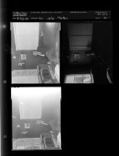 Dr. Leslie Morton (3 Negatives) August 5-6, 1960 [Sleeve 16, Folder d, Box 24]