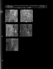 Deb of the week(5 Negatives) August 19-20,1960 [Sleeve 51, Folder d, Box 24]