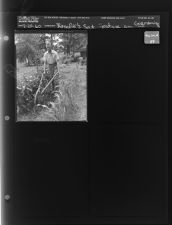 Rosalie's Saturday feature on gardening (1 Negatives (August 20, 1960) [Sleeve 59, Folder d, Box 24]