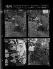 Rosalie's Saturday feature on gardening (4 Negatives (August 20, 1960) [Sleeve 60, Folder d, Box 24]