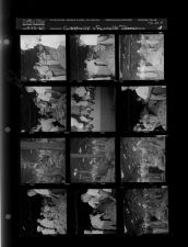 Greenville & Farmville tobacco (12 Negatives (August 23, 1960) [Sleeve 68, Folder d, Box 24]
